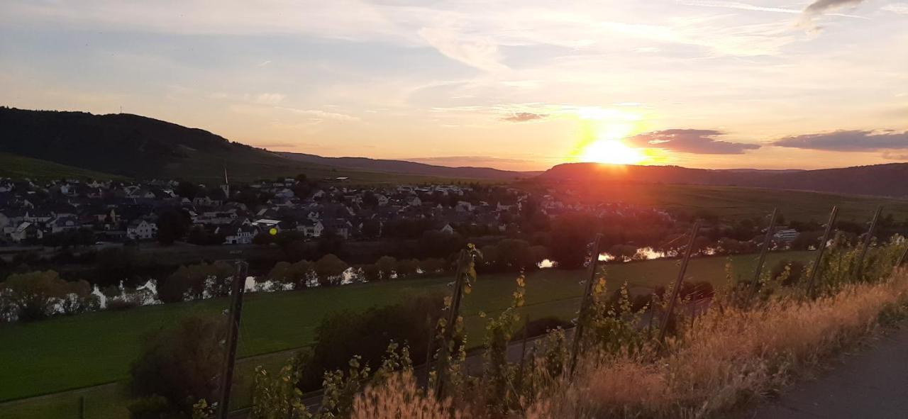 Ferienhaus Elisa Trittenheim Buitenkant foto